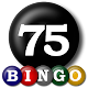 Bingo 75 تنزيل على نظام Windows