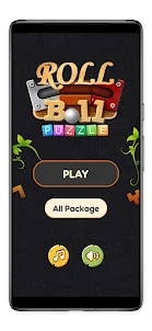 Roll The Ball 3D -Block Puzzle