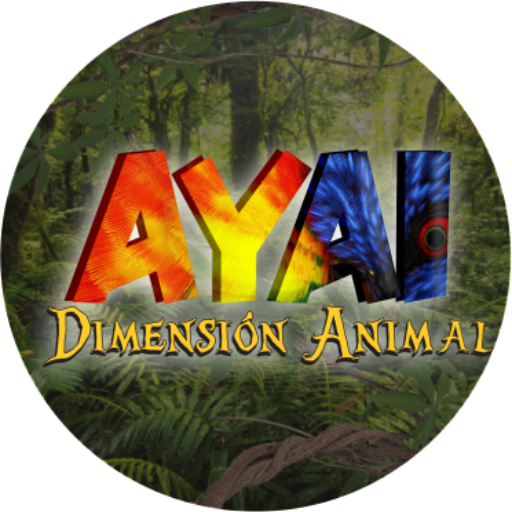 Ayai Dimension Animal