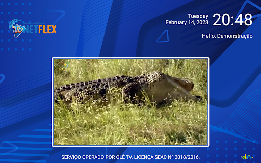 NET FLEX TV Screen 2
