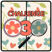 Spot Five Differences Challenge 3 online  Icon