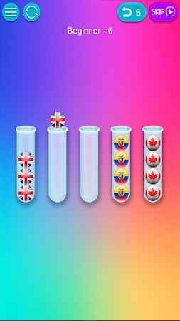 Game screenshot Flags Sorting Puzzle- Sort It! hack