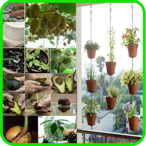 Planting Ideas Header - AppWisp.com
