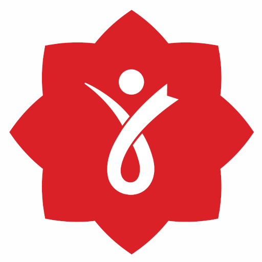 Birikim Okulları logo