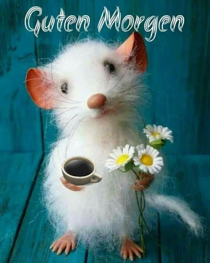 Guten Morgen und Gute Nacht