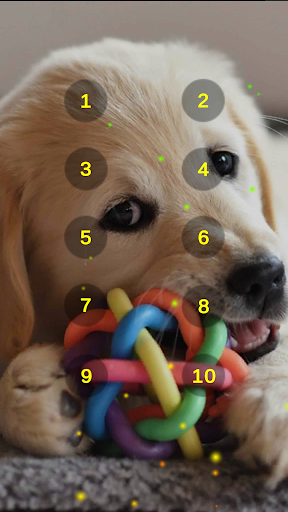 Dog Chew Toy Squeaky Sounds