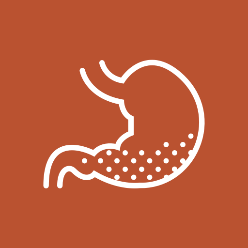 Stomach Diseases & Treatment  Icon