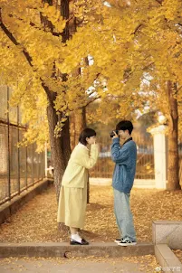 Korean Love Story Wallpaper