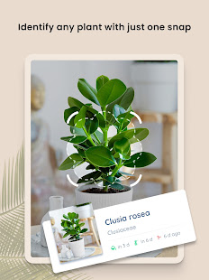 PlantIn: Plant Identification  Screenshots 15
