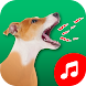 犬の鳴き声の着信音の壁紙 - Androidアプリ