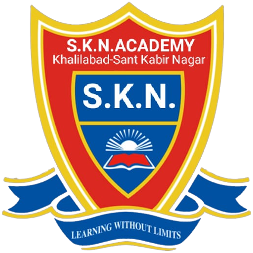 SKN Academy logo