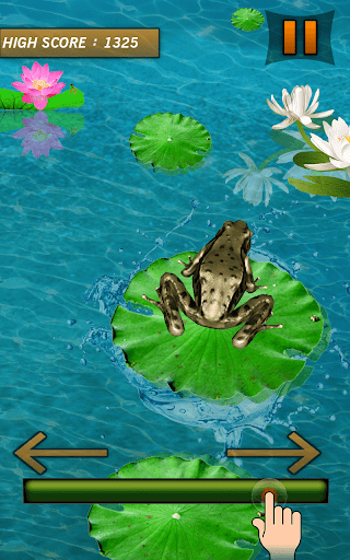 Frog Jumping Mania screenshots 3