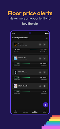 RoverX: NFT Portfolio Tracker Screen 2
