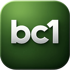 Icon image