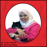 Dr Kucing icon