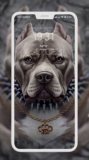 Pitbull Wallpaper Screen 2