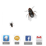 Fly runs on screen LWP icon