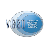 2016 VSSO Symposium icon