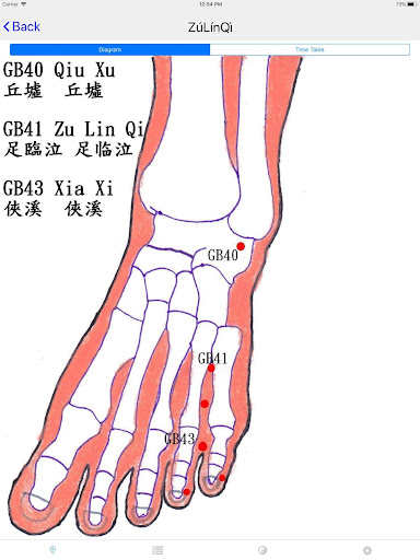 Chrono-Acupuncture 2.3.1 screenshots 9