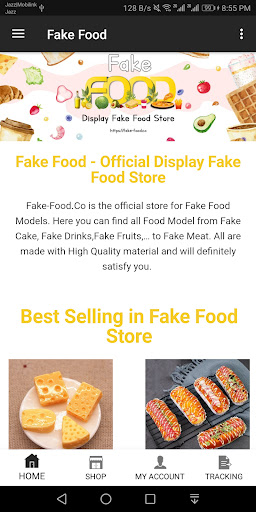 Fake Food