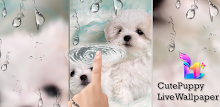 Cute Puppy Water Ripple LWP APK