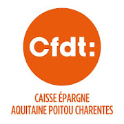 CFDT CEAPC  Icon