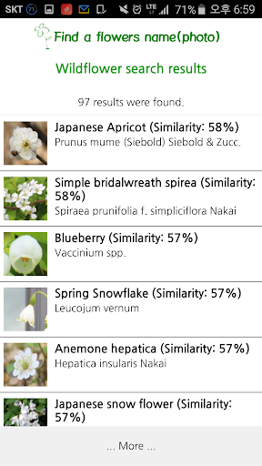 Find a flowers name (photo) Screen 3
