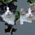 Cover Image of Download Puzzle with Cute Cats  APK