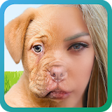 dog face changer icon