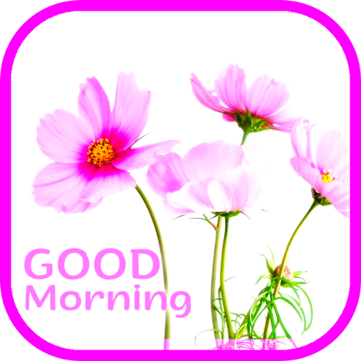 Good Morning Flowers logo