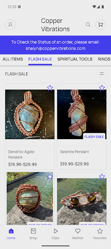 Vista previa de la aplicación