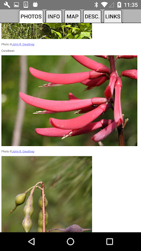 Florida Wildflowers Screen 3