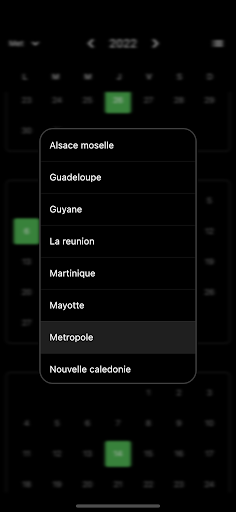 Jours fériés - France DOM-TOM Screen 3