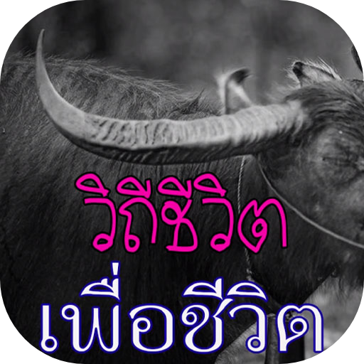 วิถีเพลงเพื่อชีวิต Screen 2