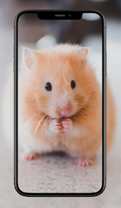 Captura de Pantalla 5 Fondos Animales Lindos android