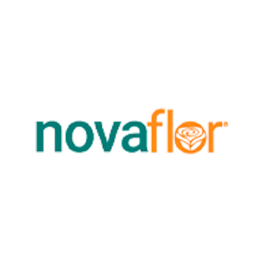 Nova Flor - Floricultura Onlin logo
