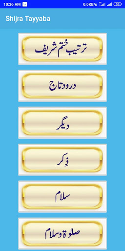 Shijra Tayyaba Screen 2