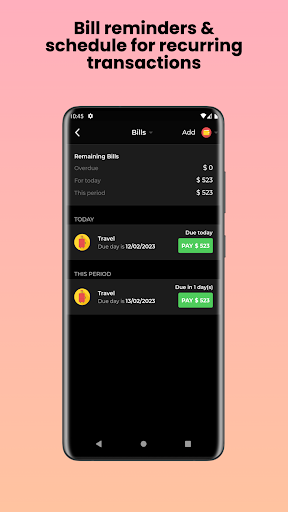Money Manager Screen 3