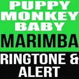 Puppy Monkey Baby Marimba Tone icon