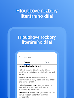 Maturitní Rozbory Knih screenshot 14