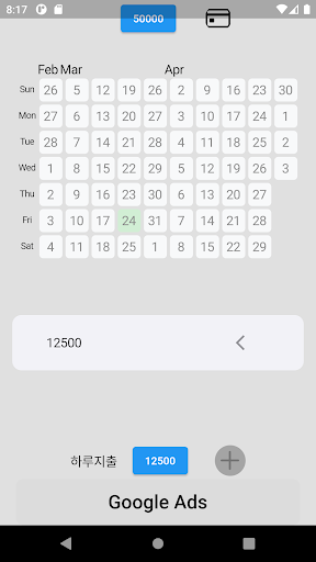 Daily Expenditure Screen 2