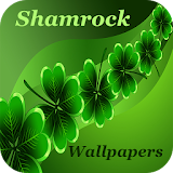 Shamrock Wallpapers icon