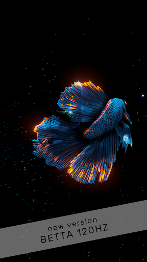 Betta Fish Screen 2