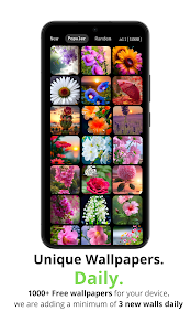 Flower Wallpaper HD | 4k