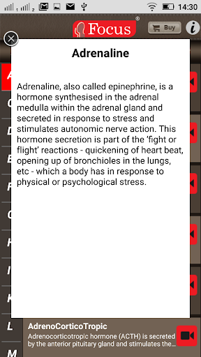 Endocrinology - Medical Dict. Screen 3
