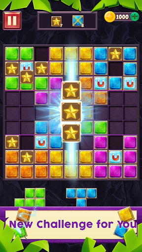 Block Puzzle Screen 2