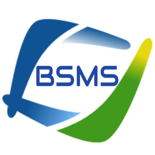 Be Sure Management Services logo