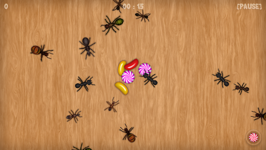 Ant Smasher - Bug Smash Mania