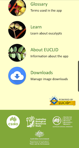 EUCLID Eucalypts of Australia Screen 2