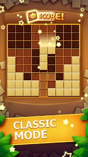 Wood Block Puzzle 5